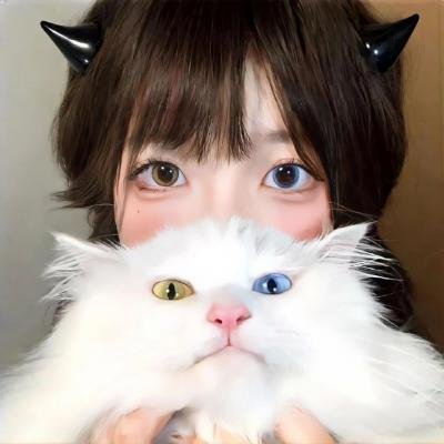 领航人