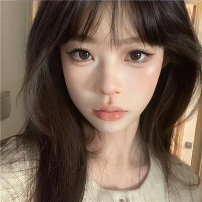 鸽之翼